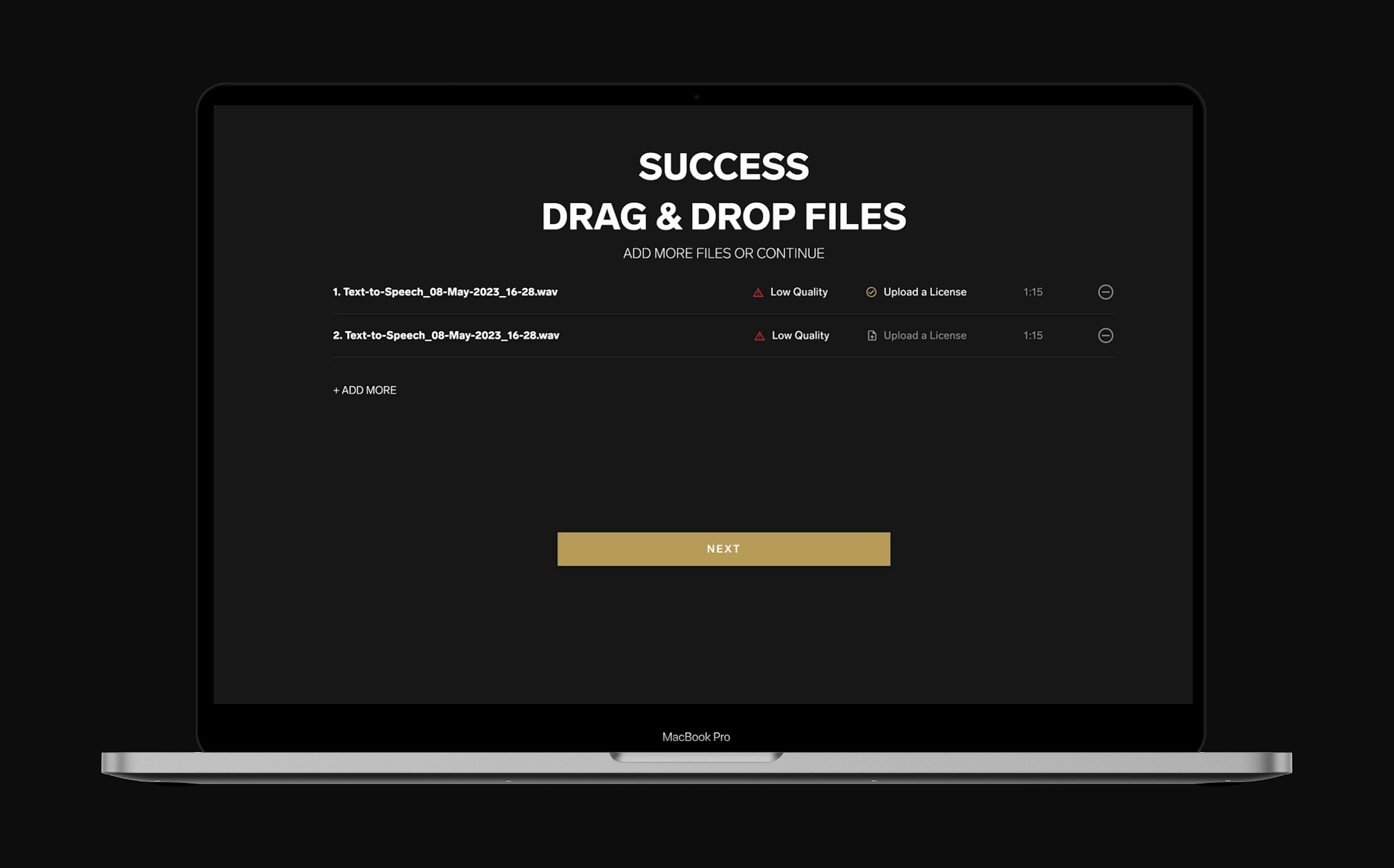 Original upload success screen showing low quality warnings and duplicate file entries